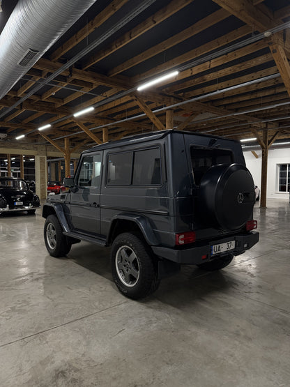 Mercedes-Benz G-Class Offroad (1990)